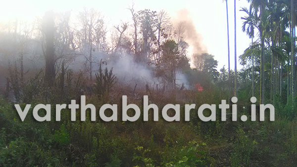 ಮೂಡಿಗೆರೆ: ತತ್ಕೊಳ ಮೀಸಲು ಅರಣ್ಯಭಾಗದಲ್ಲಿ ಬೆಂಕಿ